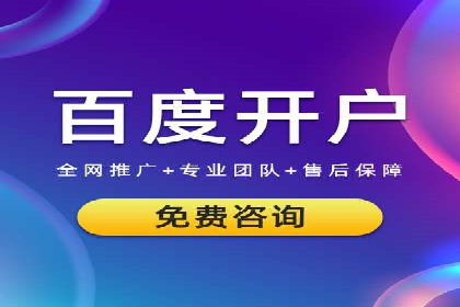 SEO与百度广告的结合：双管齐下的推广案例